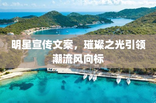 明星宣传文案，璀璨之光引领潮流风向标