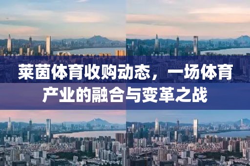 莱茵体育收购动态，一场体育产业的融合与变革之战