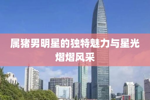 属猪男明星的独特魅力与星光熠熠风采