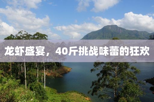 龙虾盛宴，40斤挑战味蕾的狂欢
