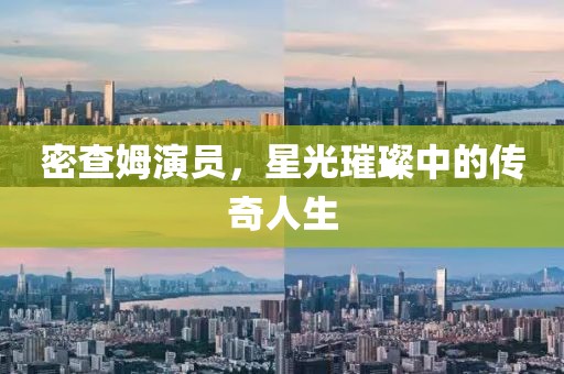 密查姆演员，星光璀璨中的传奇人生