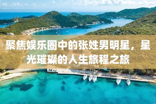 聚焦娱乐圈中的张姓男明星，星光璀璨的人生旅程之旅