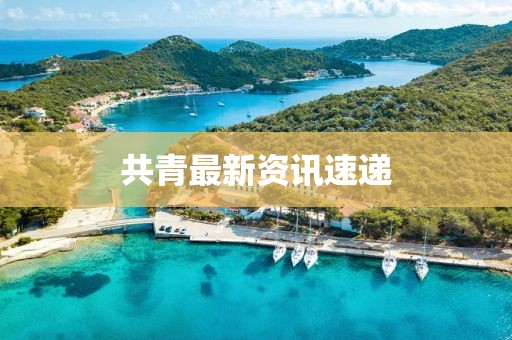 共青最新资讯速递