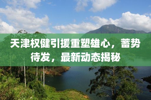 天津权健引援重塑雄心，蓄势待发，最新动态揭秘