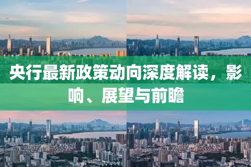 央行最新政策动向深度解读，影响、展望与前瞻