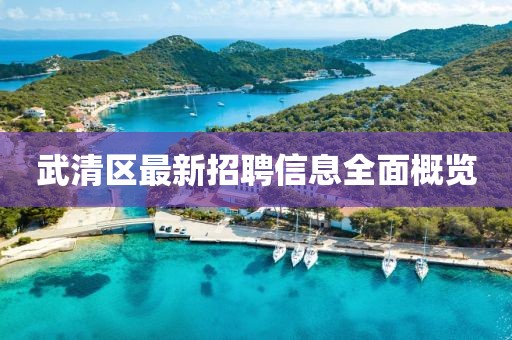 武清区最新招聘信息全面概览