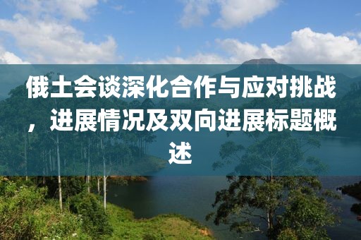 俄土会谈深化合作与应对挑战，进展情况及双向进展标题概述