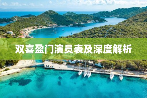 双喜盈门演员表及深度解析