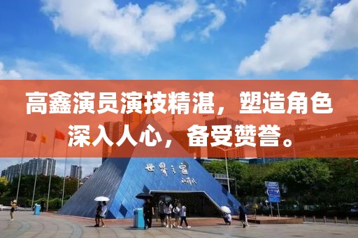 高鑫演员演技精湛，塑造角色深入人心，备受赞誉。
