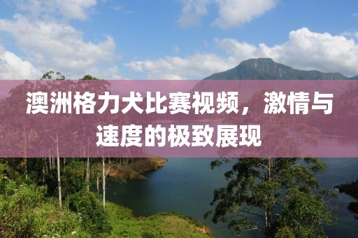 澳洲格力犬比赛视频，激情与速度的极致展现