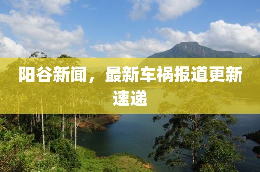 阳谷新闻，最新车祸报道更新速递
