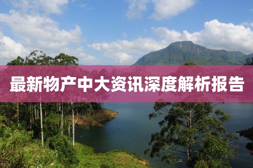 最新物产中大资讯深度解析报告