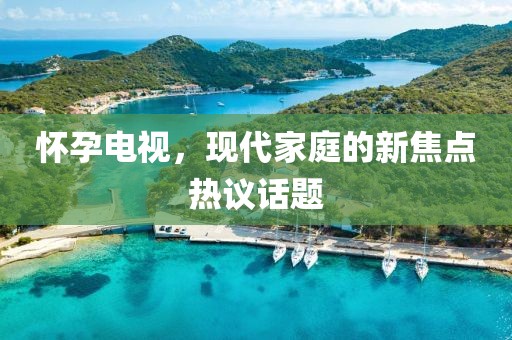 怀孕电视，现代家庭的新焦点热议话题