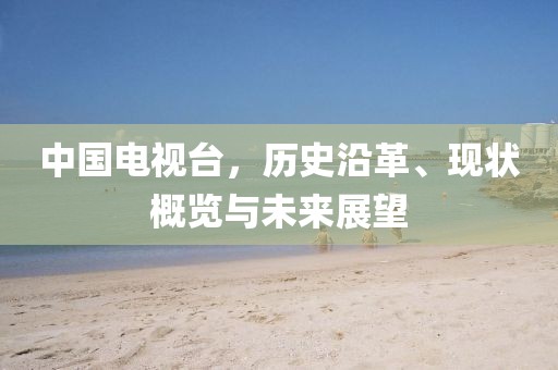 中国电视台，历史沿革、现状概览与未来展望