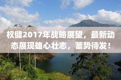权健2017年战略展望，最新动态展现雄心壮志，蓄势待发！