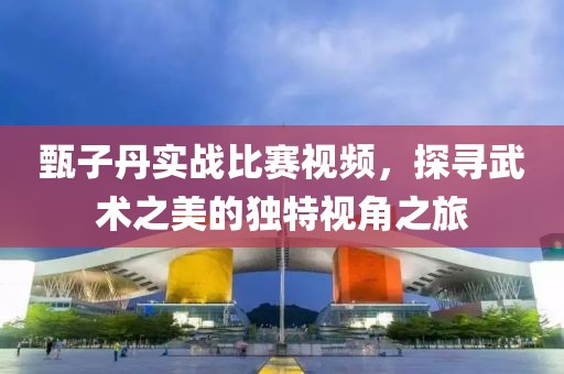 甄子丹实战比赛视频，探寻武术之美的独特视角之旅