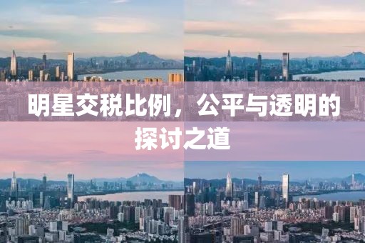 明星交税比例，公平与透明的探讨之道