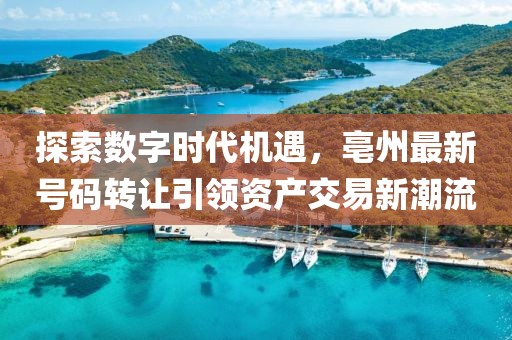 探索数字时代机遇，亳州最新号码转让引领资产交易新潮流