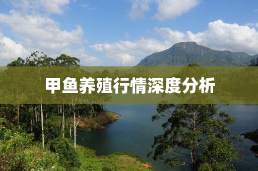 甲鱼养殖行情深度分析