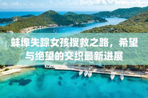 蚌埠失踪女孩搜救之路，希望与绝望的交织最新进展