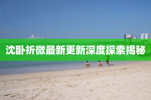沈卧折微最新更新深度探索揭秘