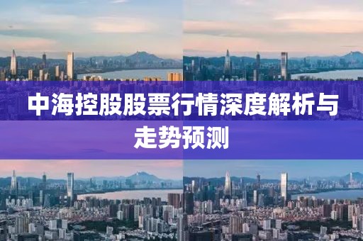 中海控股股票行情深度解析与走势预测