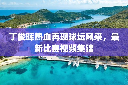 丁俊晖热血再现球坛风采，最新比赛视频集锦