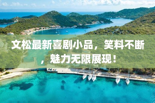 文松最新喜剧小品，笑料不断，魅力无限展现！