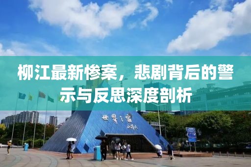 柳江最新惨案，悲剧背后的警示与反思深度剖析
