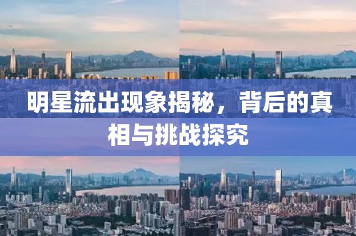 明星流出现象揭秘，背后的真相与挑战探究