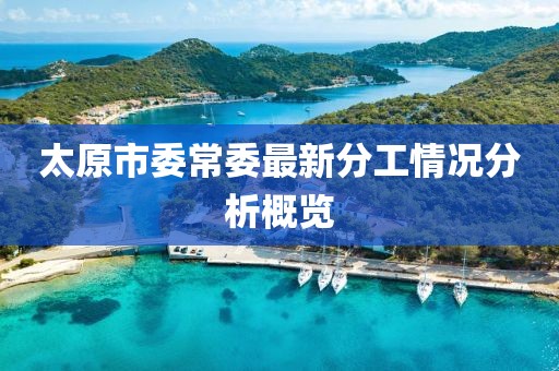 太原市委常委最新分工情况分析概览
