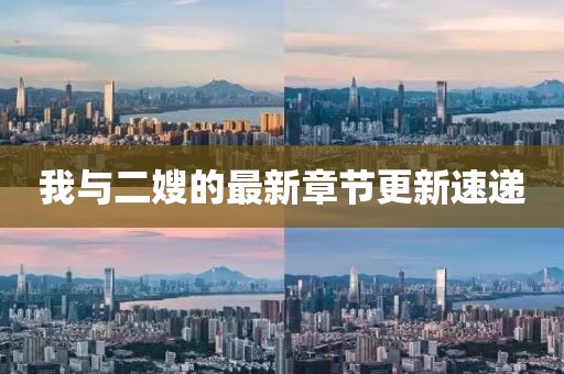 我与二嫂的最新章节更新速递
