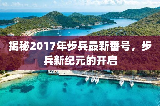 揭秘2017年步兵最新番号，步兵新纪元的开启