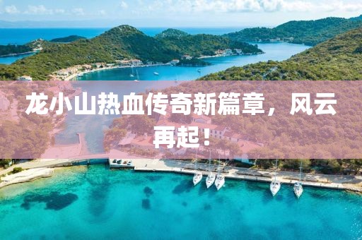 龙小山热血传奇新篇章，风云再起！