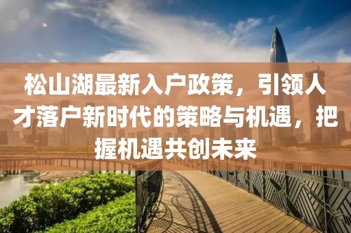 松山湖最新入户政策，引领人才落户新时代的策略与机遇，把握机遇共创未来
