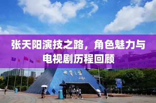 张天阳演技之路，角色魅力与电视剧历程回顾