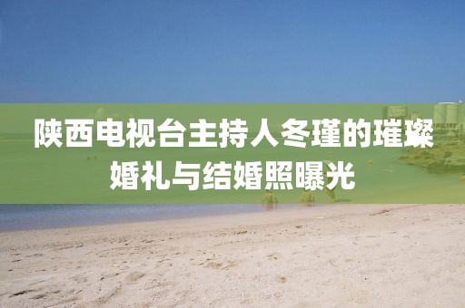 陕西电视台主持人冬瑾的璀璨婚礼与结婚照曝光