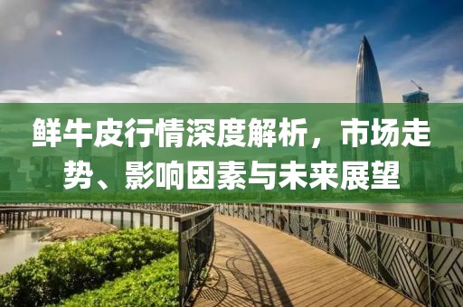 鲜牛皮行情深度解析，市场走势、影响因素与未来展望