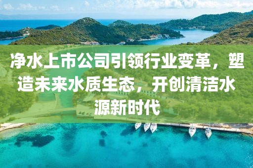 净水上市公司引领行业变革，塑造未来水质生态，开创清洁水源新时代