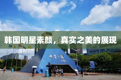 韩国明星素颜，真实之美的展现