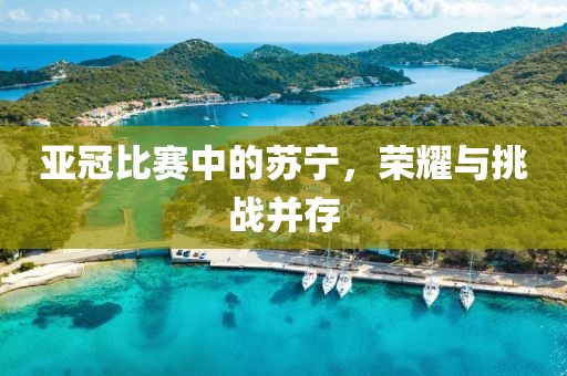 亚冠比赛中的苏宁，荣耀与挑战并存