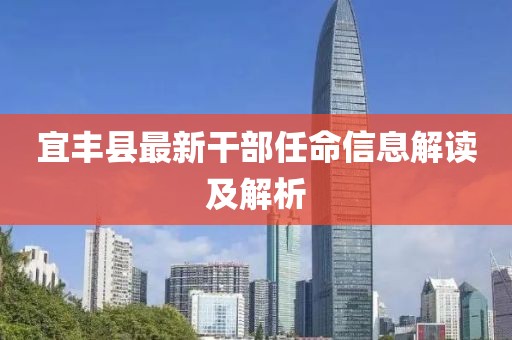 宜丰县最新干部任命信息解读及解析