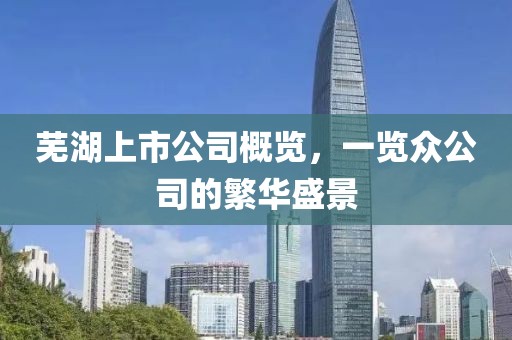 芜湖上市公司概览，一览众公司的繁华盛景