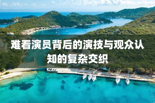 难看演员背后的演技与观众认知的复杂交织