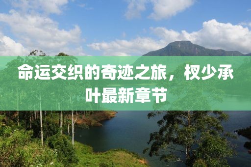 命运交织的奇迹之旅，杈少承叶最新章节