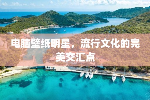 电脑壁纸明星，流行文化的完美交汇点