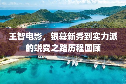 王智电影，银幕新秀到实力派的蜕变之路历程回顾
