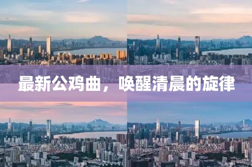 最新公鸡曲，唤醒清晨的旋律
