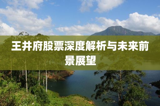 王井府股票深度解析与未来前景展望