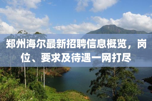郑州海尔最新招聘信息概览，岗位、要求及待遇一网打尽
